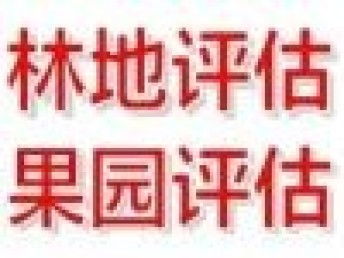 圖 專(zhuān)業(yè)快速評(píng)估公司 北京會(huì)計(jì)審計(jì)